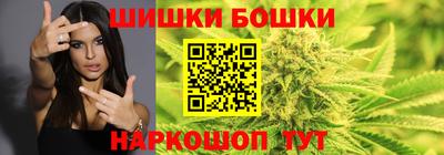 дмт Будённовск