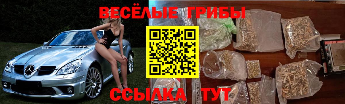 Галлюциногенные грибы GOLDEN TEACHER Нижний Новгород