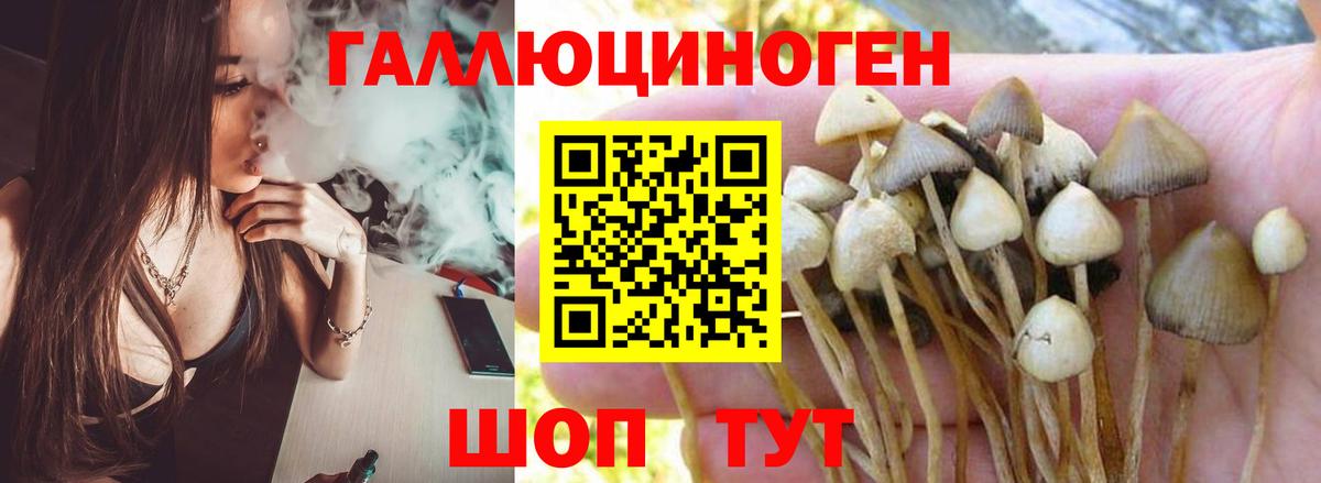 Псилоцибиновые грибы прущие грибы  Вход с VPN  Псилоцибиновые грибы MAGIC MUSHROOMS  Нижний Новгород 